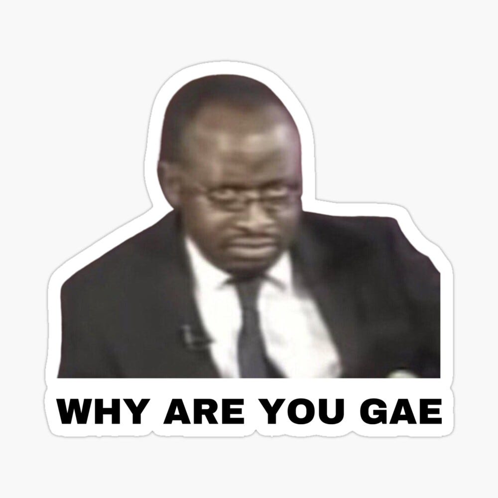 Why are you Gae Meme Uganda Gay Rights Interview Viral Video Pillow
