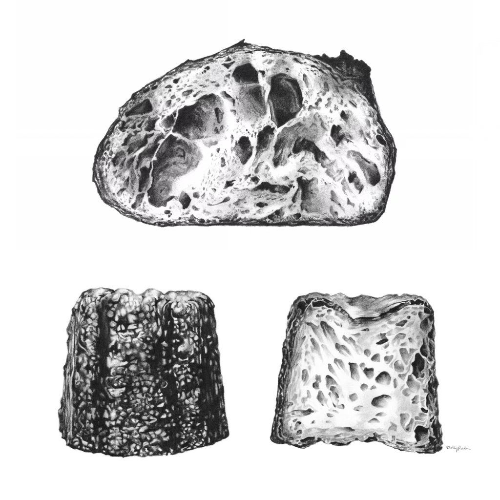 both the canele and the sourdough finished drawings, stacked on top of one another