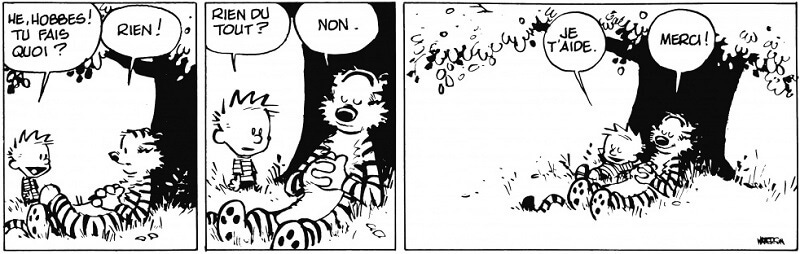Calvin et Hobbes en français : strips et BD incontournables