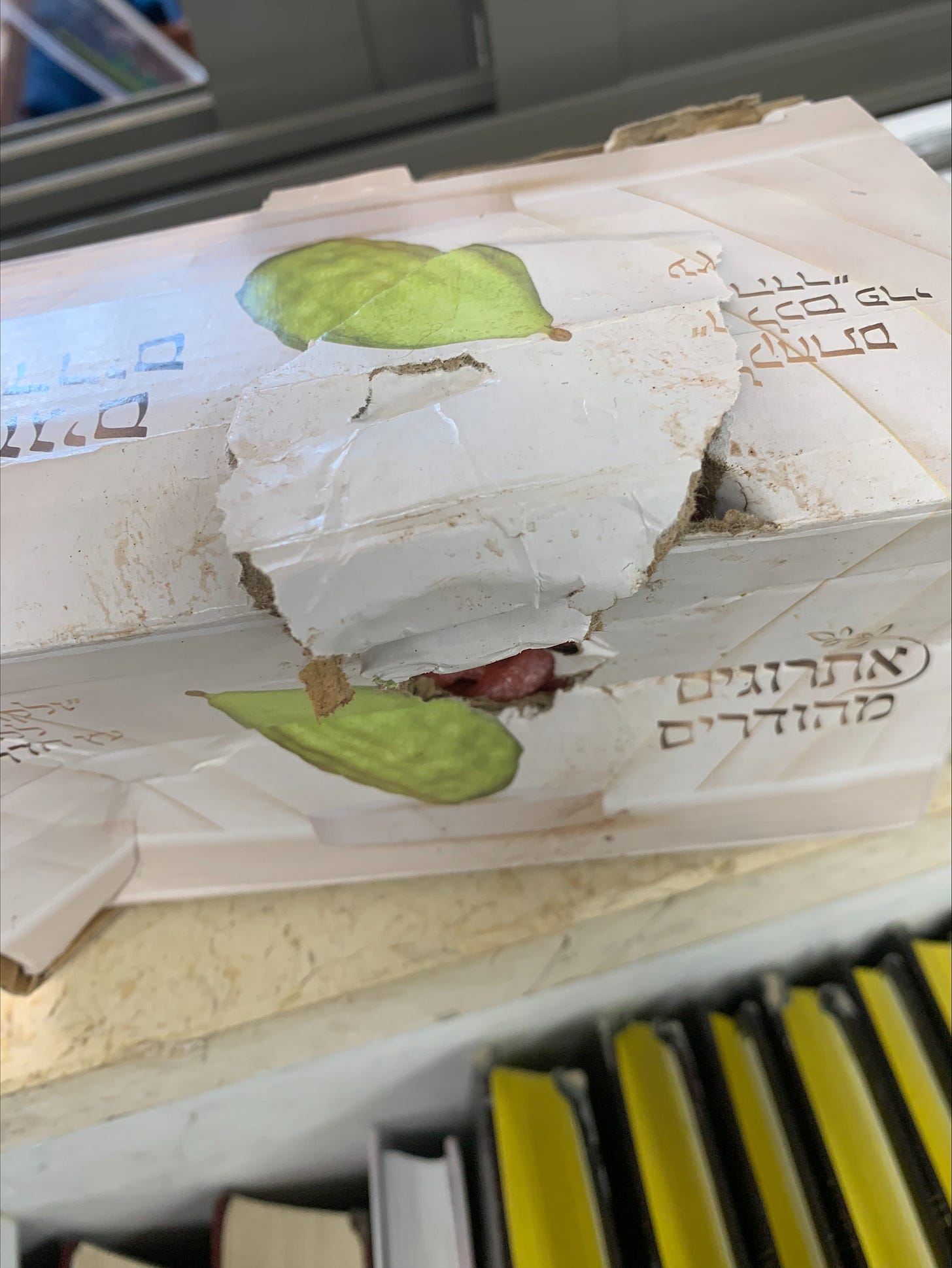 The Pig Tried to Eat My Lemon by Yuri Kruman