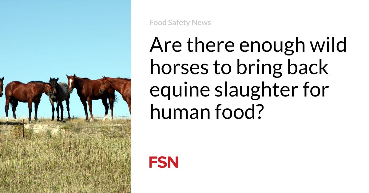 Are there enough wild horses to bring back equine slaughter for human food?  | Food Safety News