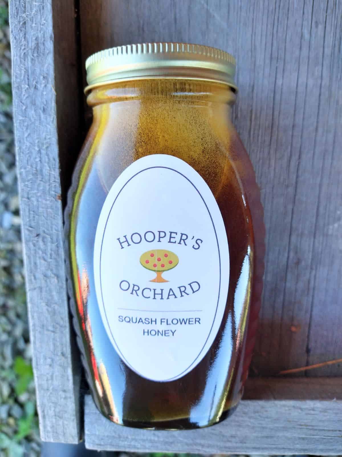 Hooper's Orchard Squash flower honey jar on wood.