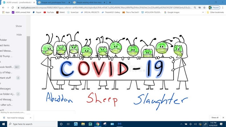 C-3=Abadon----OVID=SHEEP ------19 Storngs 19= Slaughter color Abadon SHEEP SLAUGHTER.jpg
