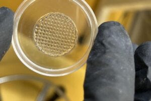 3D-printed structure made of optimised hydrogel.