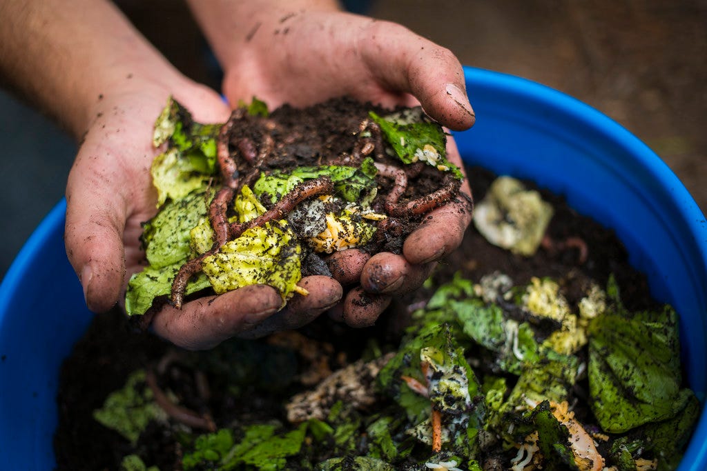 vermicomposting_0076 | A vermicomposting bucket is mixed wit… | Flickr