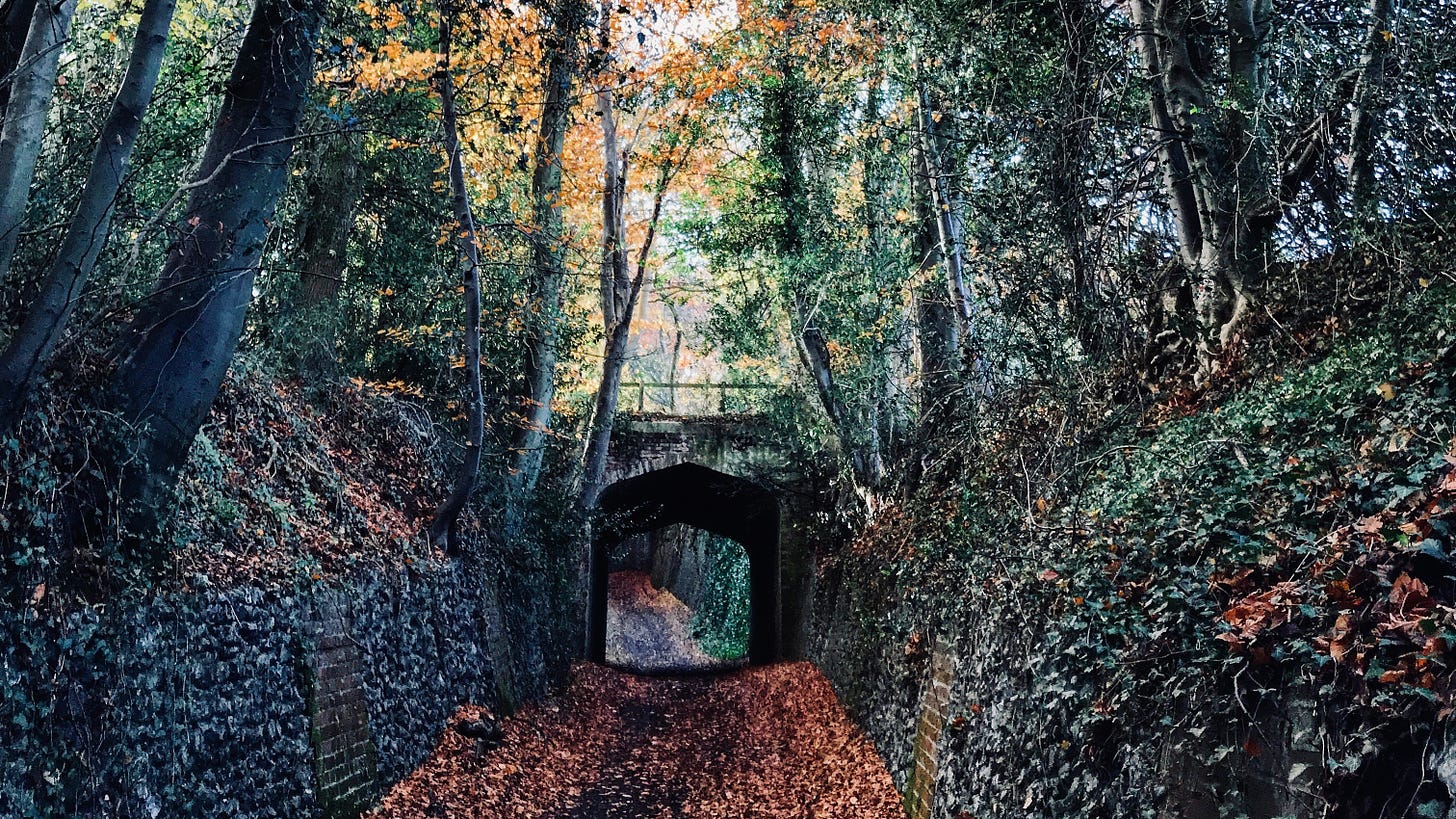 The sunken Roman Road, or Spooky Lane  with devils bridge as it’s known locally. shown in Autumn