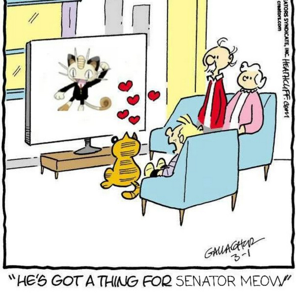 Heathcliff staring at TV with portrait of Senator Meow on it and hearts over his head while the kid says "He's got a thing for Senator Meow"