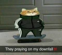 Cat in an Adidas tracksuit on a skateboard. The caption says “They praying on my downfall 💯”