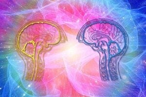 Colorful illustration of two skulls and brains