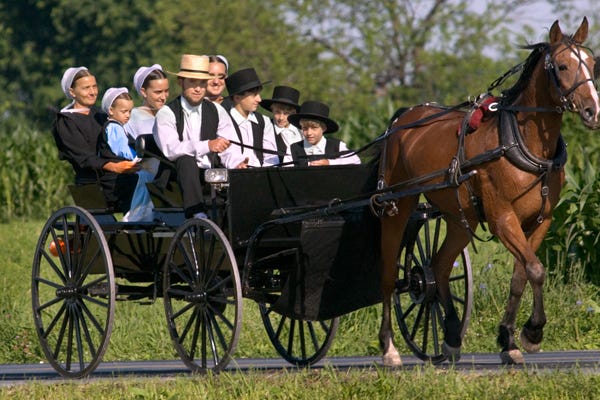 Thanking the Amish for the Right to the Homeschool – In The Alternative
