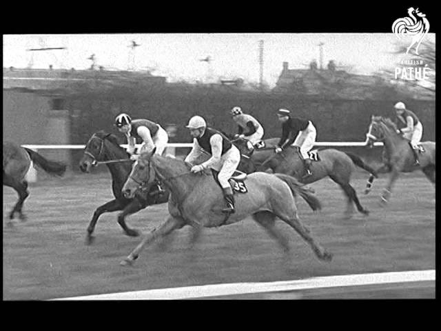 Aintree 1967 Grand National Tim Durant. big pile up - YouTube