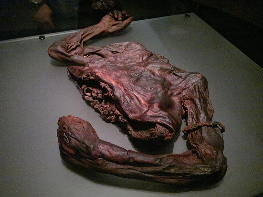 Iron Age bog body known today as Old Croghan Man and housed in the National Museum of Ireland. Source: Mark Healey / CC BY-SA 2.0