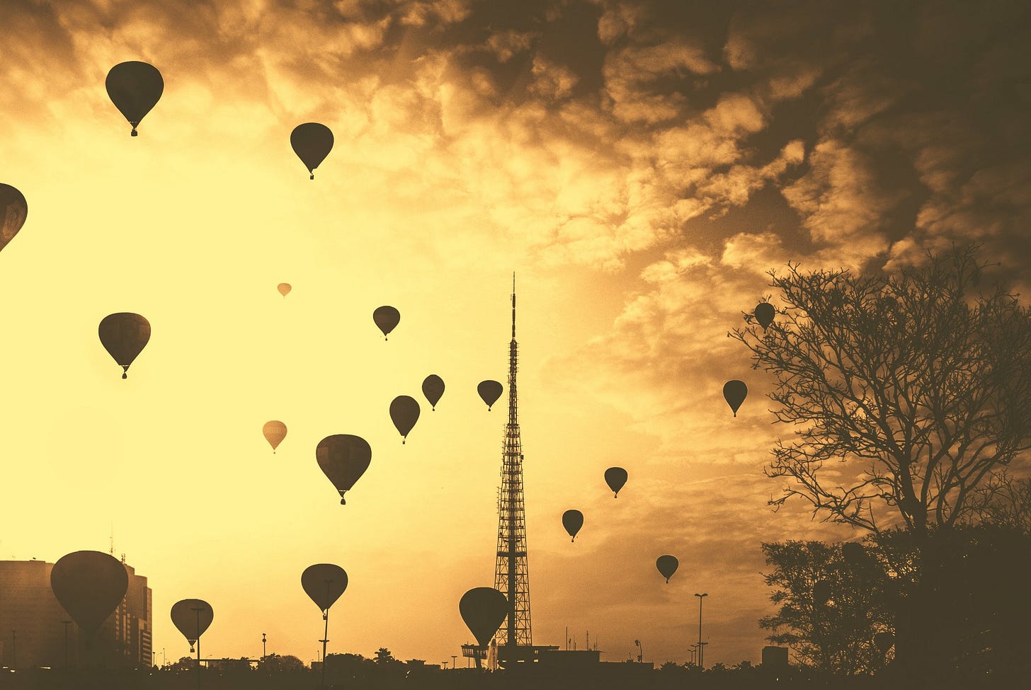 Photo by Alexandre Perotto on Unsplash Photo by Alexandre Perotto on Unsplash