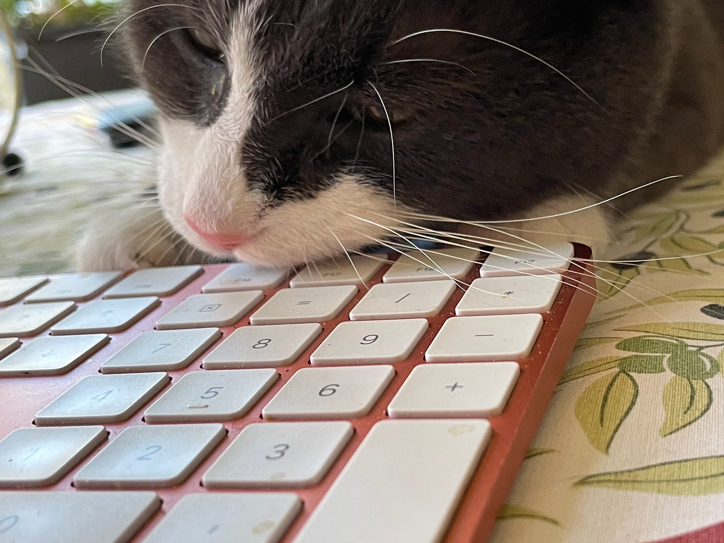 A close-up of a black and white cat resting its head on a red and white keyboard. The cat's whiskers extend over the keys, while it tries to bite into the keyboard and its eyes are partially closed. The soft pink of its nose contrasts with the sleek fur. The background features a floral-patterned tablecloth. The image captures a cozy and relaxed moment.