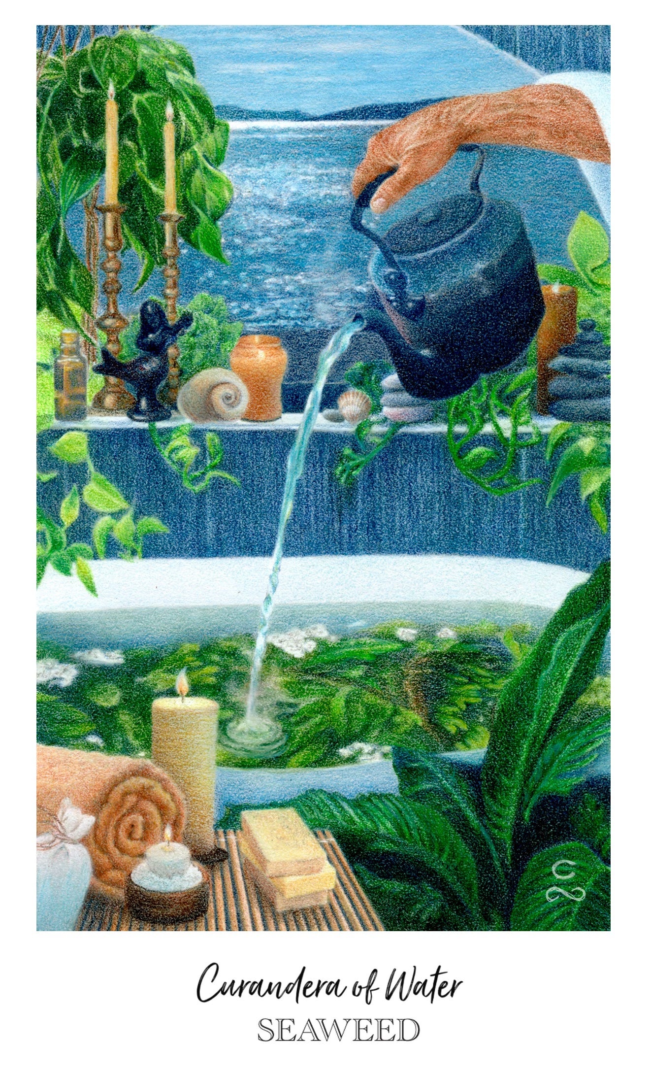Curandera of Water / Seaweed from the Herbcrafter's Tarot.