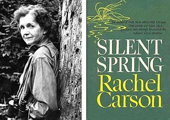 Rachel Carson's 'Silent Spring' turns 60. Why it still resonates - The  Allegheny Front