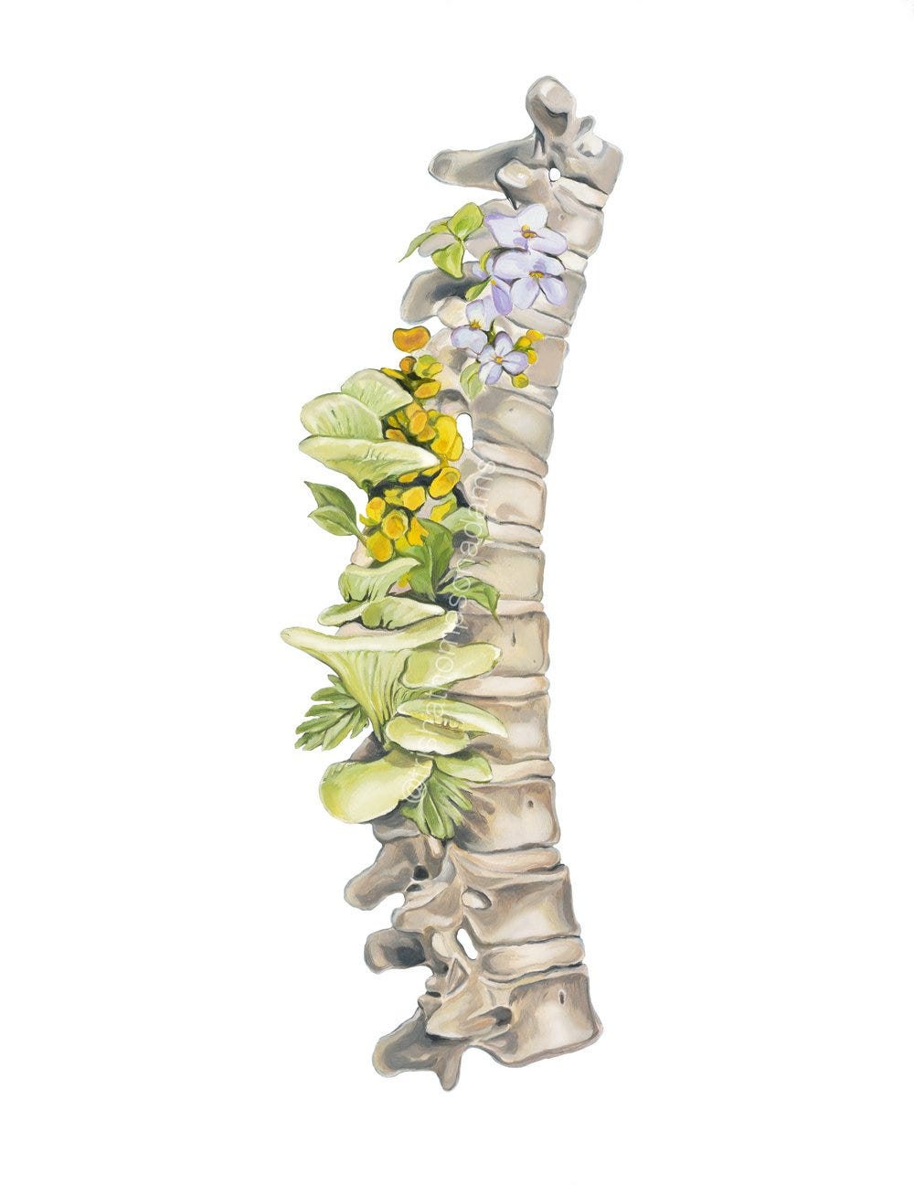 FLORAL THORACIC SPINE Art Print — Trisha Thompson Adams