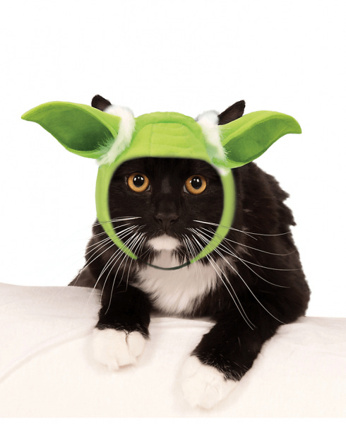 star wars cat yoda ears