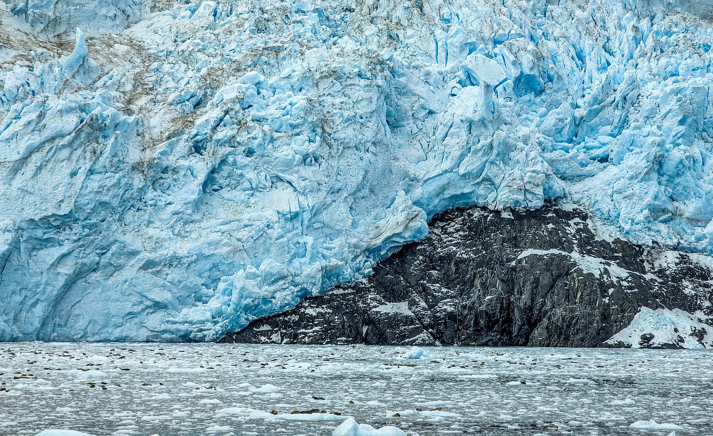 Close-up of Holgate Glacier's terminus which is filled with blue ice.