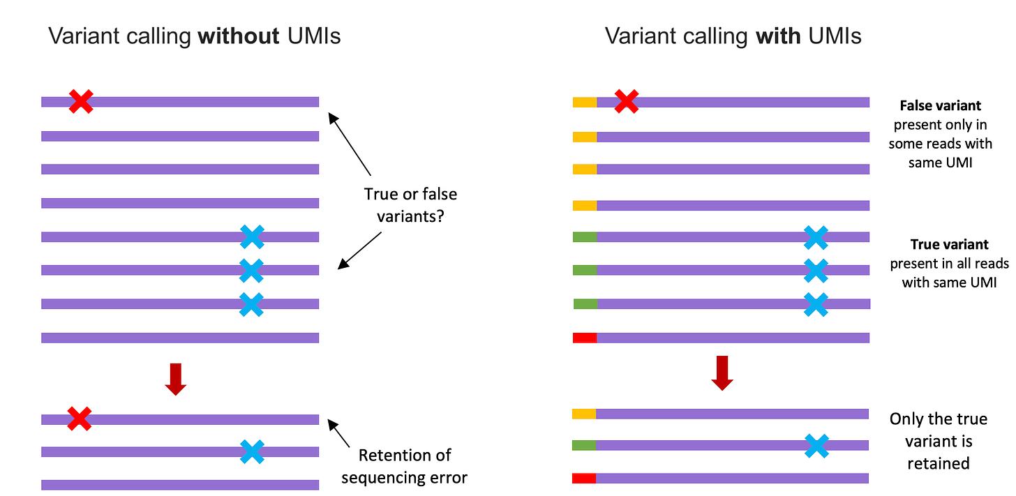 Understanding Single Cell technologies: Barcodes and UMIs – Geneious  Biologics Support