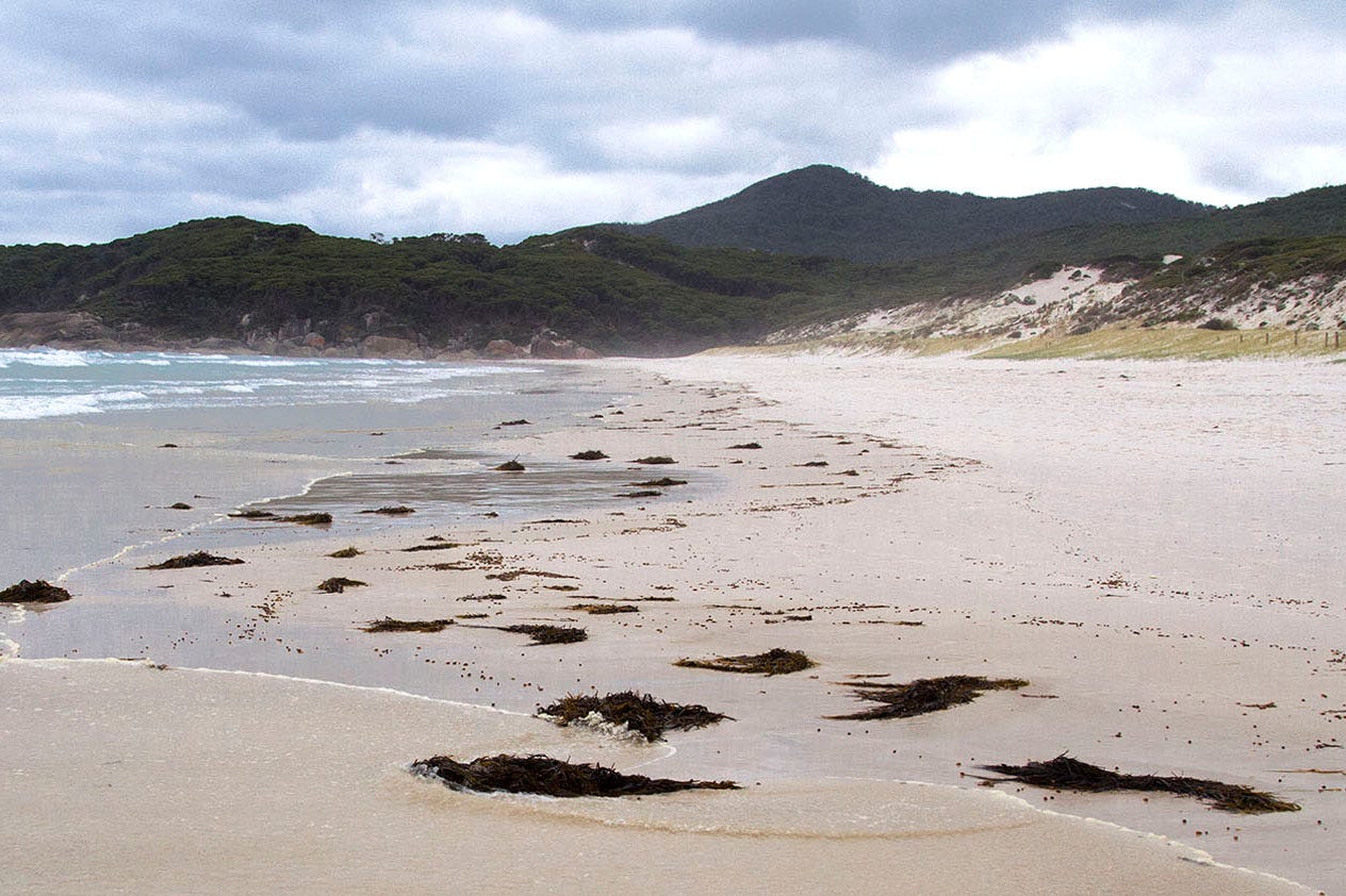 A beach in Wilsons Prom, Victoria.