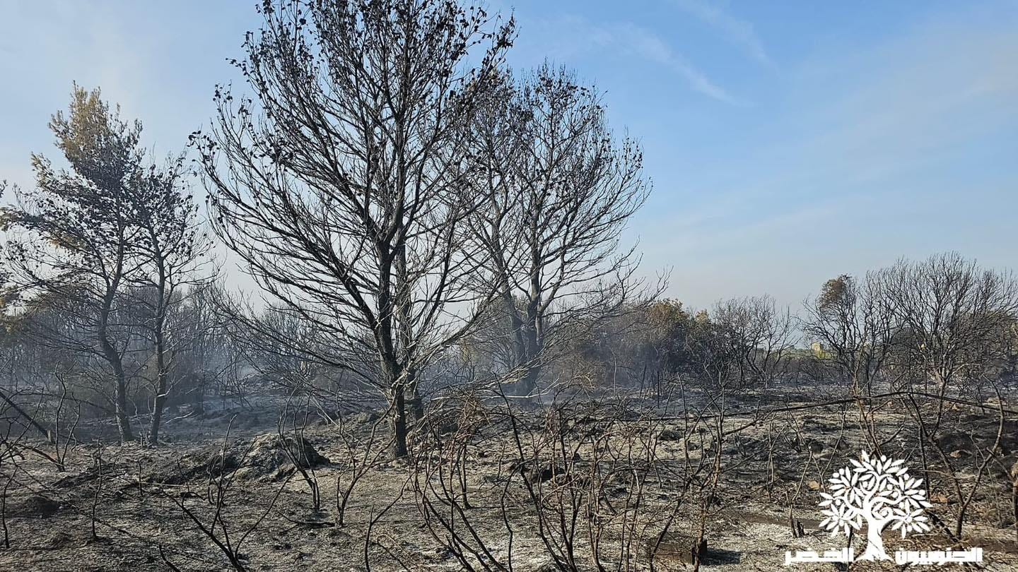 One of the forests burnt down in southern Lebanon following the Israeli bombardments. Photo from Green Southerners.