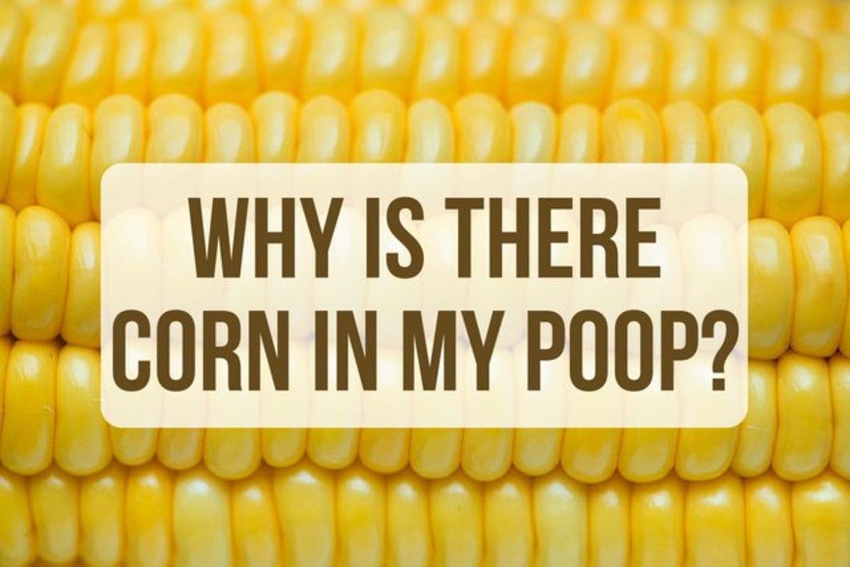 Why Does Corn Come Out Whole in My Poop? - Owlcation