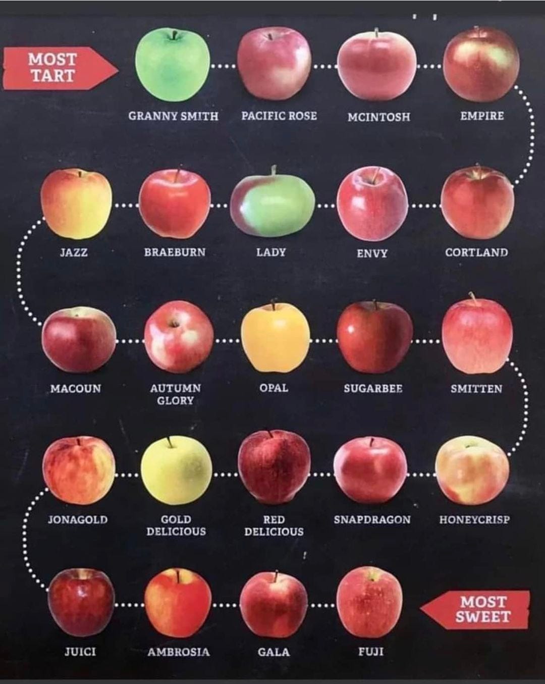 May be an image of apple and text that says 'MOST TART GRAYSITH GRANNY SMITH PACIFIC ROSE MCINTOSH EMPIRE JAZZ BRAEBURN LADY ENVY CORTLAND MACOUN ÛUTUMN GLORY OPAL SUGARBEE SMITTEN JONAGOLD GOLD DELICIOUS RED DELICIOUS SNAPDRAGON HONEYCRISP JUICI AMBROSIA GALA MOST SWEET FUJI'