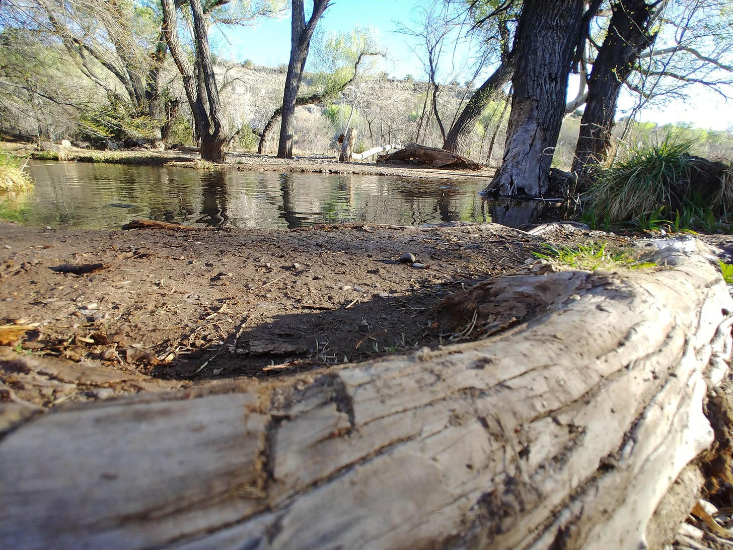 Clear Creek Area Dispersed — Grand Canyon National Park Camping | Grand  Canyon, AZ