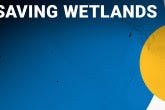 https://www.iaea.org/sites/default/files/styles/thumbnail_165x110/public/saving_wetlands_thumb.jpeg?itok=QYQRxDP_