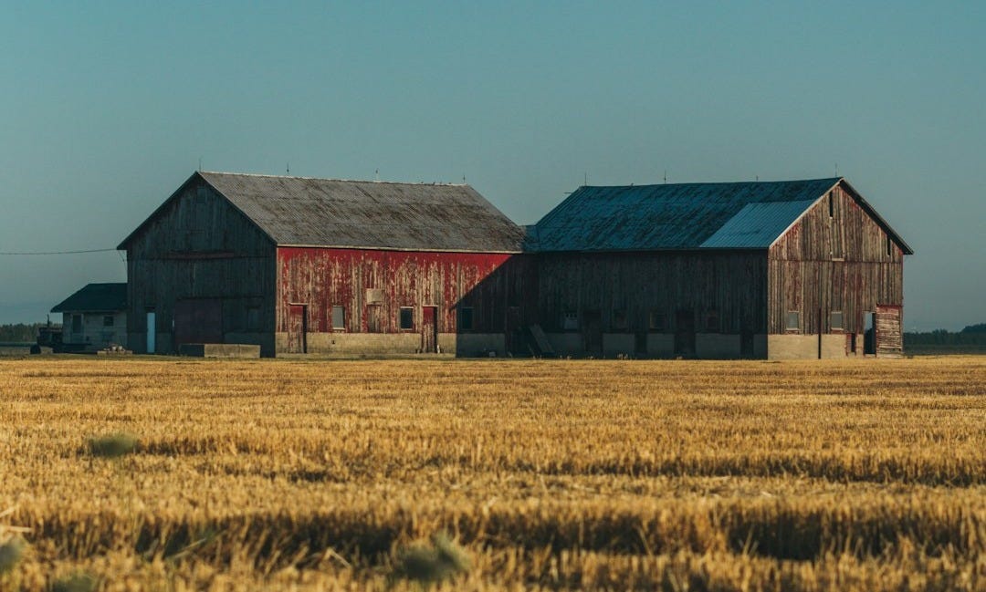 a group of buildings in a field a group of buildings in a field