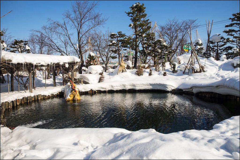 Paisaje nevado en Asahikawa, ejemplo del Japón de detrás (foto de Laura)