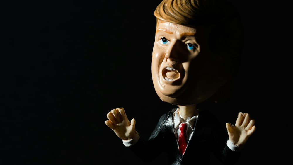 A Donald Trump doll against a black background