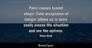 Panic Quotes - BrainyQuote