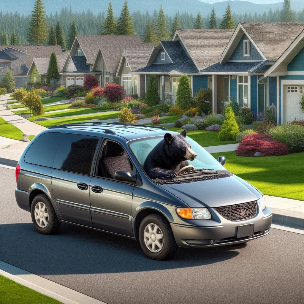 Bear driving a minivan through suburban neighborhood