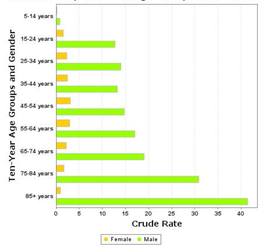 Rates of Firearm Suicide by Age Group