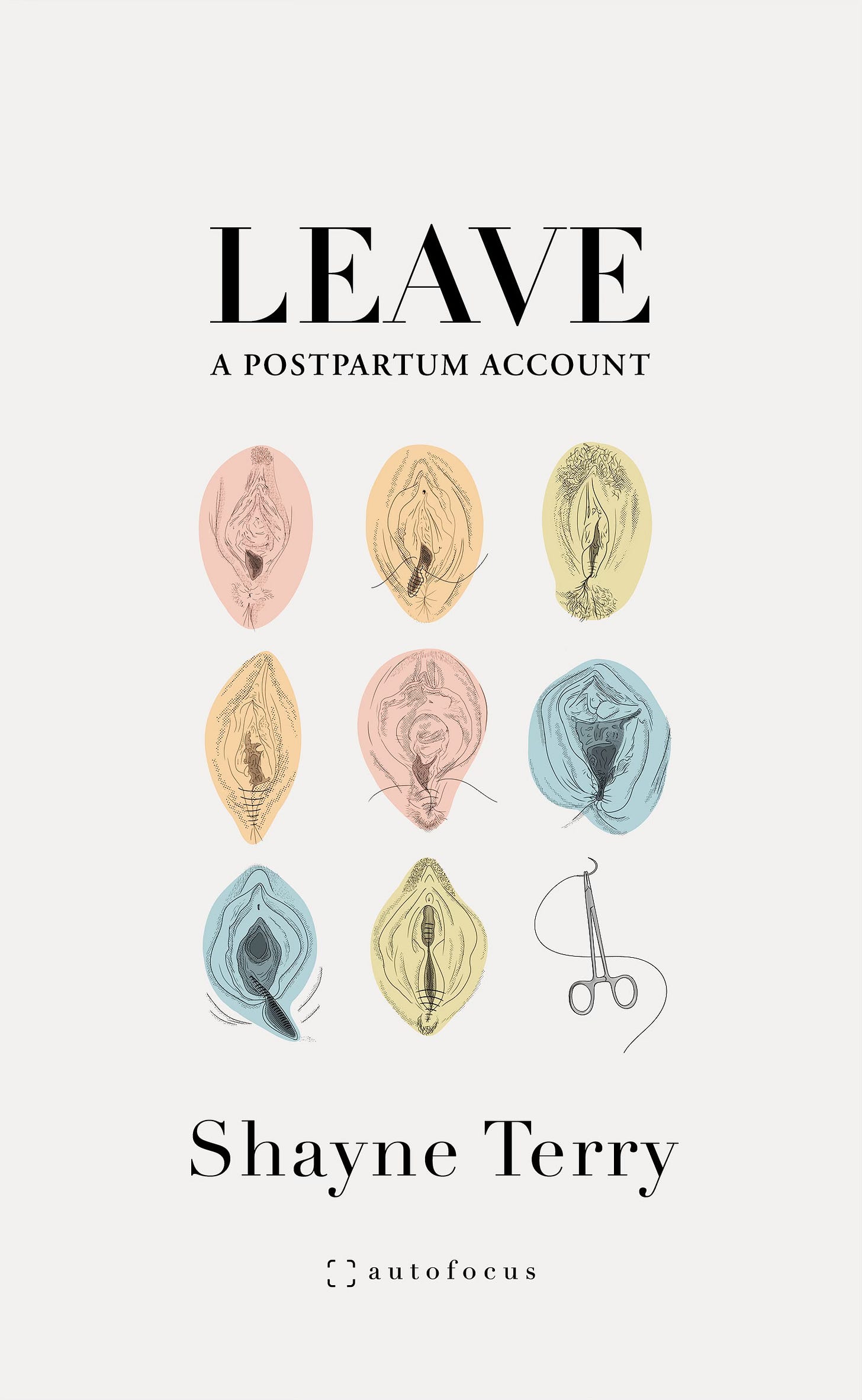 cover of Shayne Terry's LEAVE