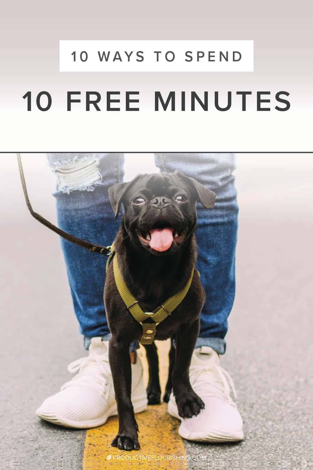 When we have ten spare minutes at work, we often flip to Facebook, investigate Instagram, or putter off to see if the coffee’s finished brewing. However, we might put our free time to better use, using them to energize our small business productivity levels or reach unrealized entrepreneurship goals. Here are 10 productive ways to spend 10 free minutes. #timemanagement #entrepreneurshipgoals #productiveflourishing 