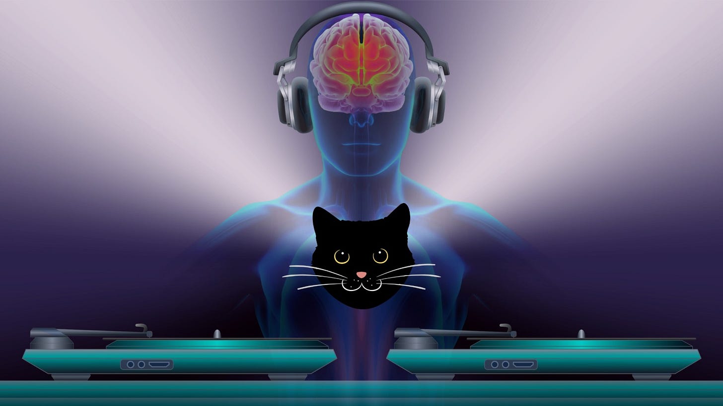 Image of robotic deejay and cat face