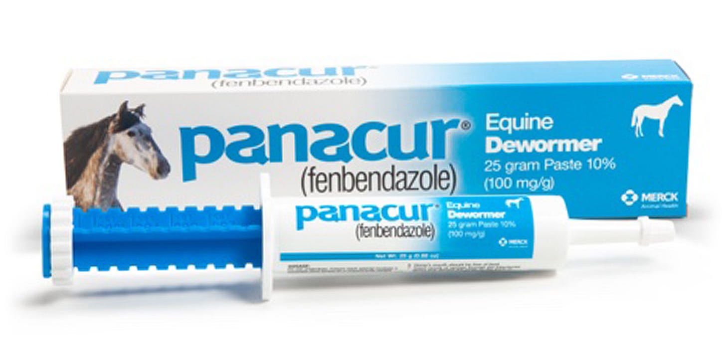 PANACUR® (fenbendazole) Paste | Merck Animal Health USA