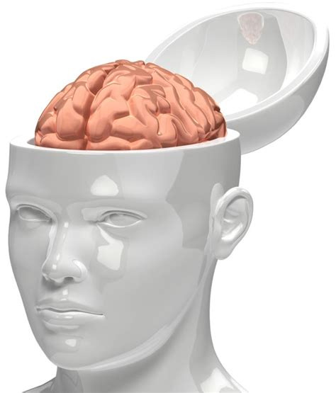 Brain Inside Head | Great PowerPoint ClipArt for Presentations ...