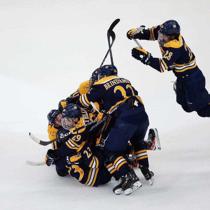 May be an image of 2 people and people playing hockey