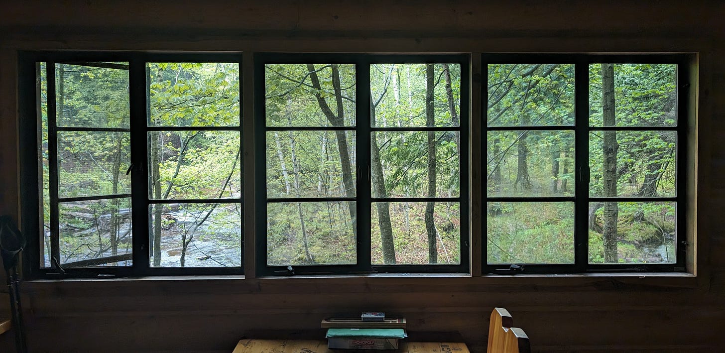 A bank of windows looking out over wilderness