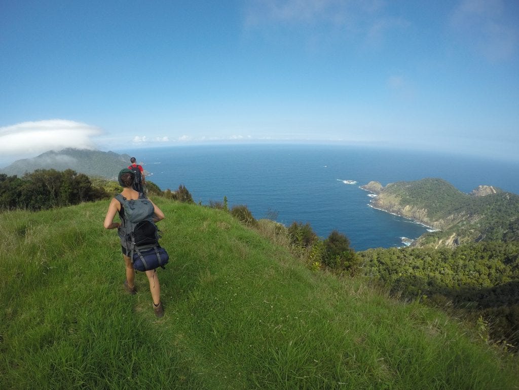 Cape Brett Track view