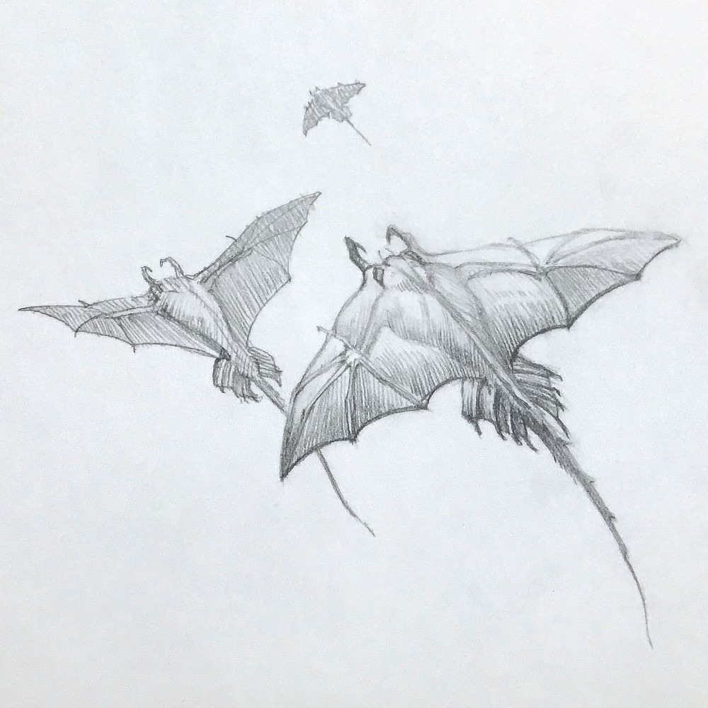 Pencil study for DESTINY'S ROAD featuring three flying alien creatures with mandible pincers that look like rays in overall form. The wing position varies with the foremost creatures wings sweeping back in an arc. The next flying beneath it has wings with a leading edge forming a straight line with flesh tapering to form a triangle. Both have a structural flourish—looks like the end of a lobster—before the thin tail extends long and whiplike.