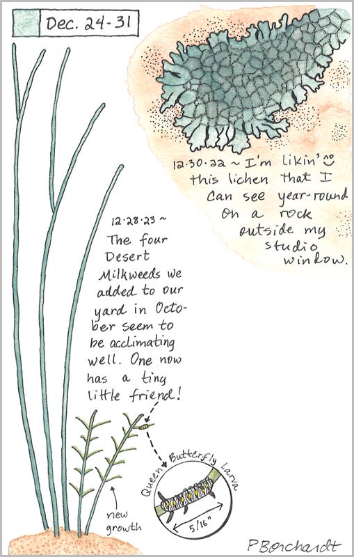 Perpetual Journal, week of Dec. 24-31: Desert Milkweed with Queen Butterfly Larva (2023); Lichen (2022)
