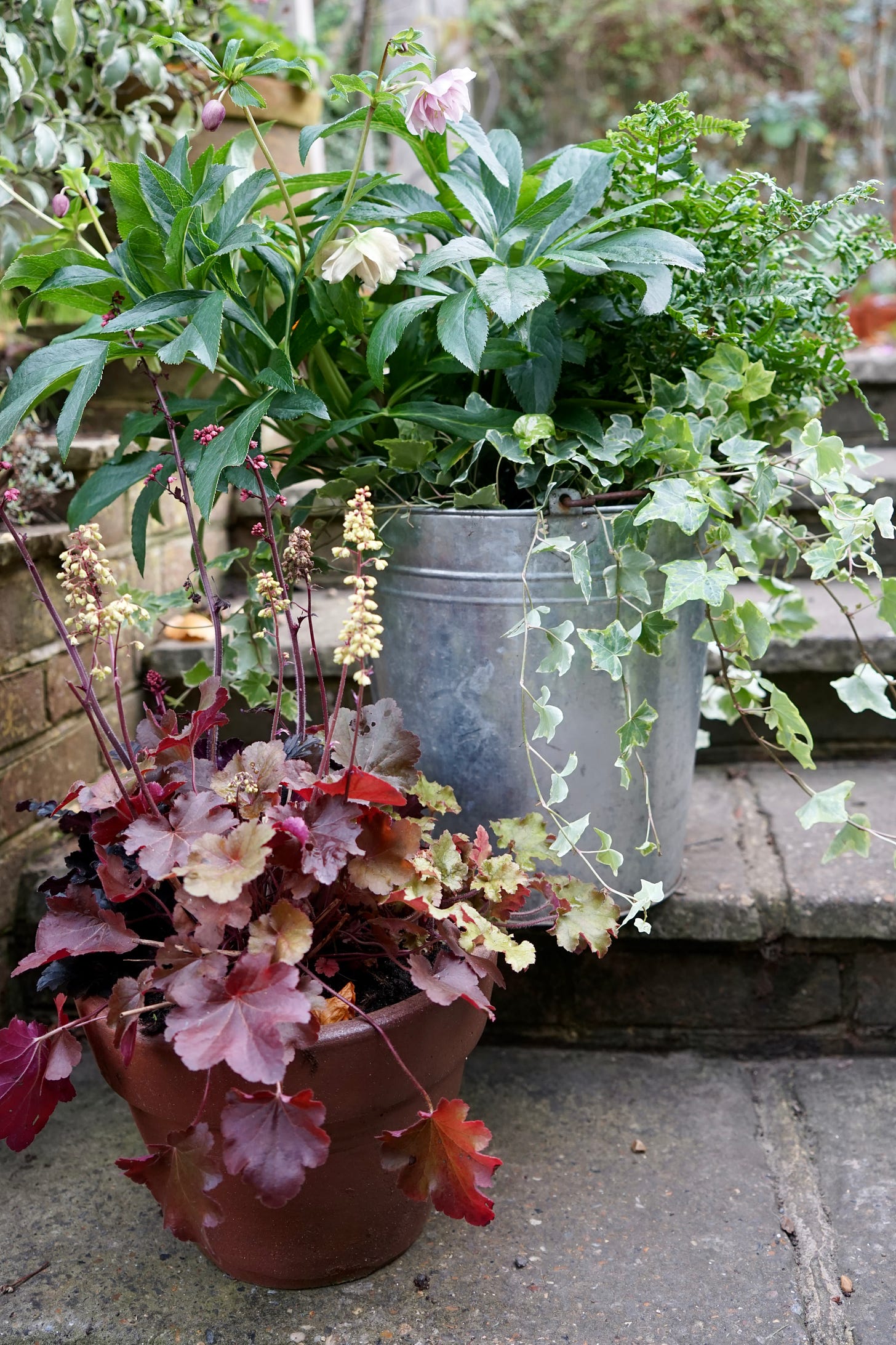 design your winter pots