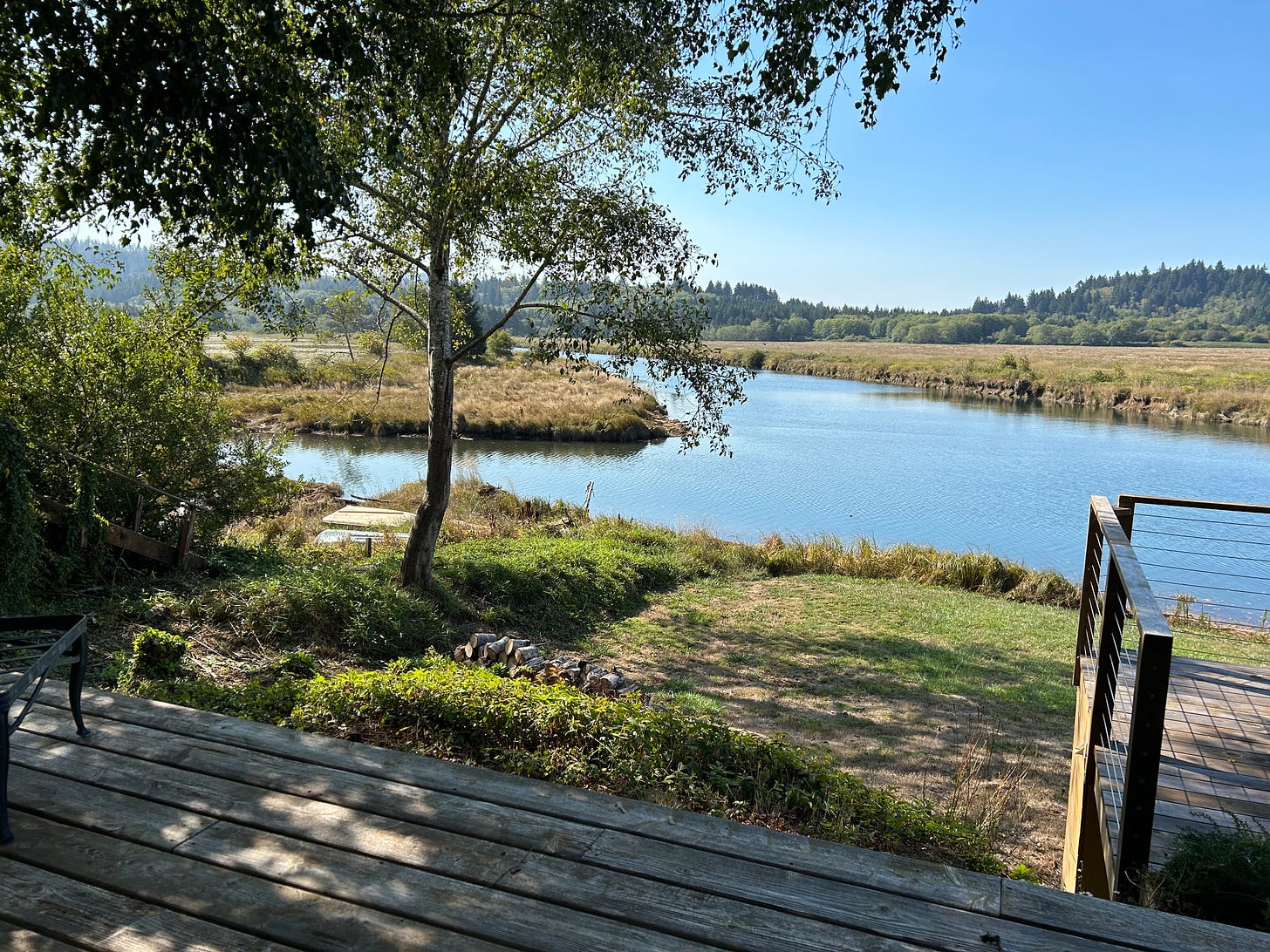 Photo of river and wetlands with deck in the foreground.