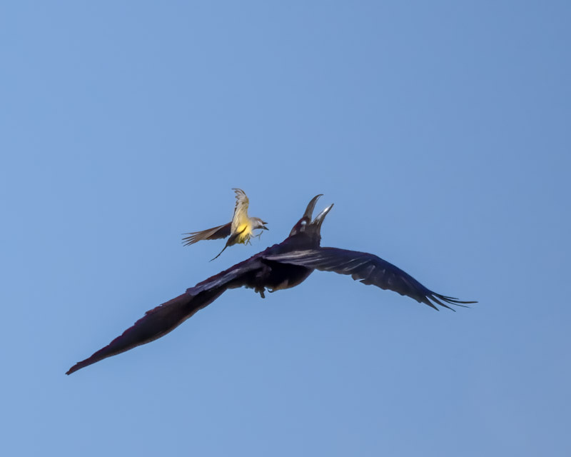 20240531-misc-106-Edit.jpg