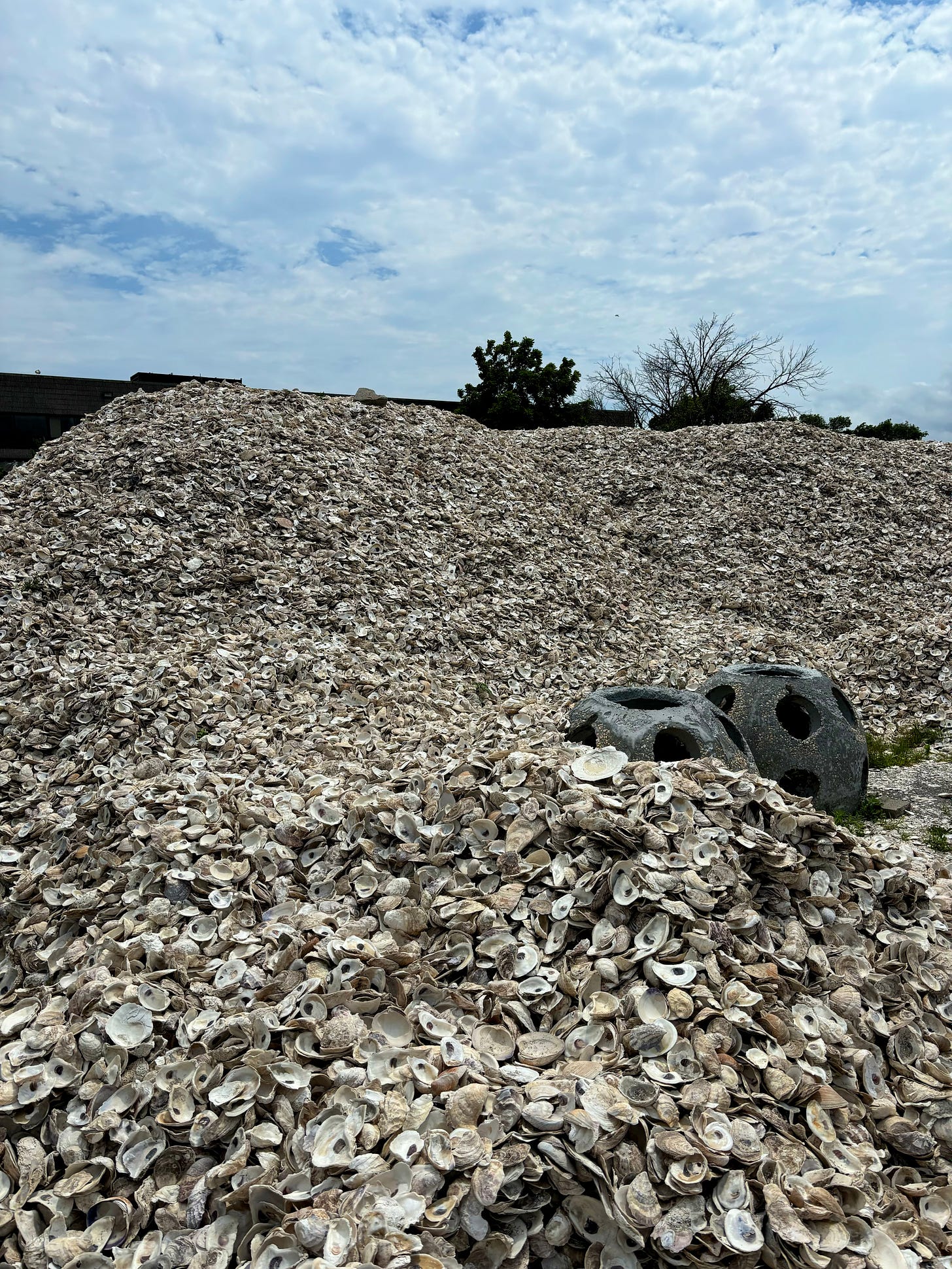 A massive pile of empty oyster shells. There are two concrete domes to the side. Behind it is a low building but the pile seems to be the same height, almost as tall as the trees. The sky is blue behind fluffy clouds.